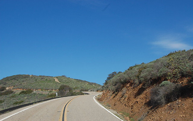 DSC 0253