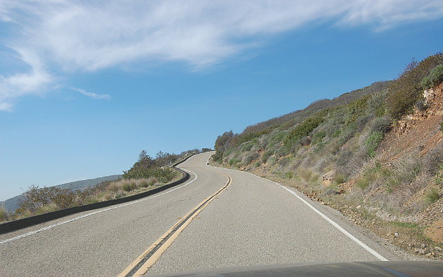 DSC 0238