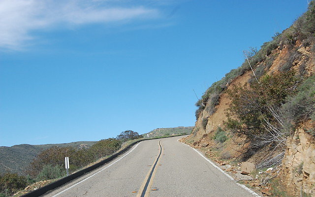 DSC 0258
