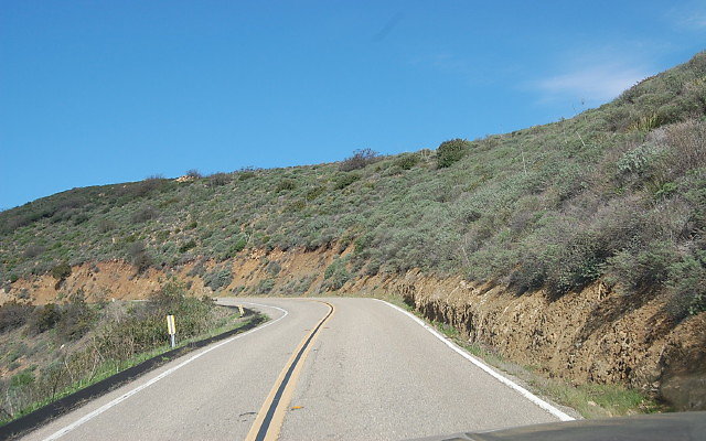 DSC 0256