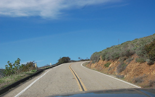 DSC 0255