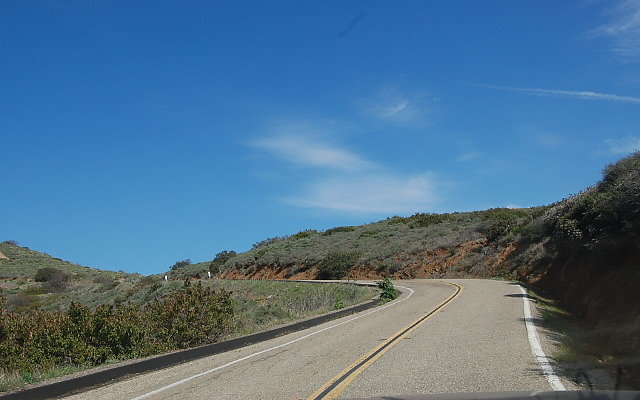 DSC 0252