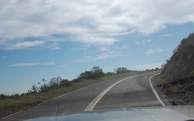 DSC 0234