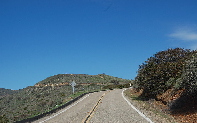 DSC 0251