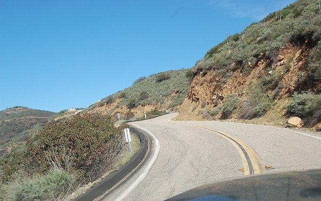 DSC 0260