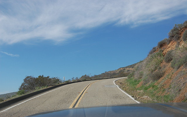 DSC 0241