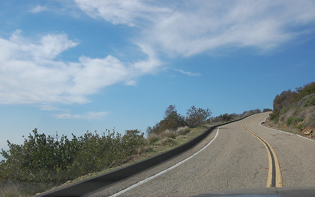 DSC 0239