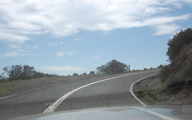 DSC 0235