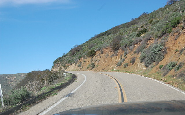 DSC 0257