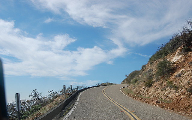 DSC 0247