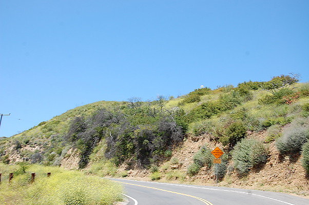 DSC 0547