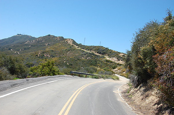 DSC 0613
