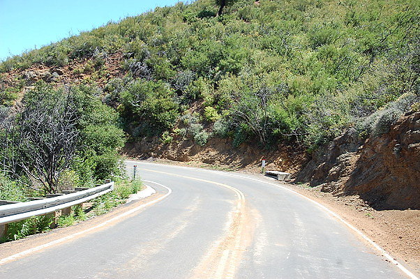 DSC 0660