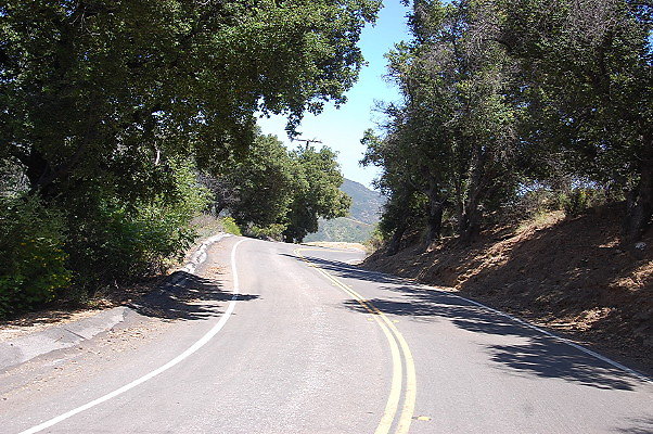 DSC 0666