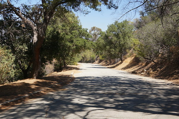 Mt.Hwood.VV.toTTown.2.22