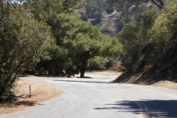 Mt.Hwood.VV.toTTown.1.19