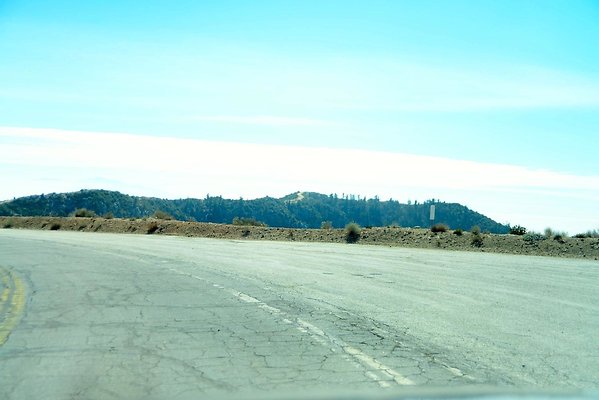 DSC 5977