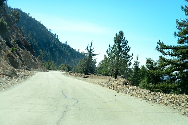 DSC 5939