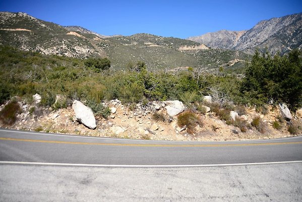 DSC 6050