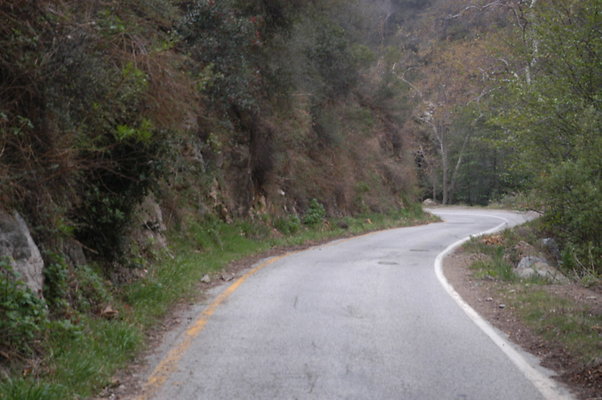 Tuna Canyon Rd 110