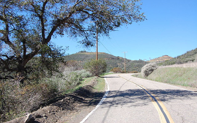 DSC 0094