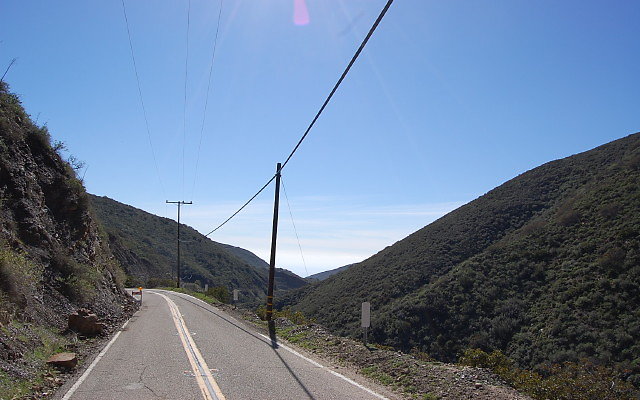 DSC 0304