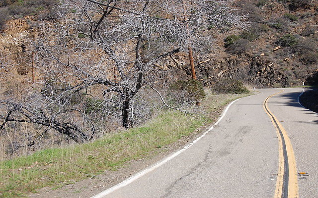 DSC 0066
