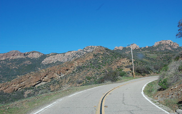 DSC 0100