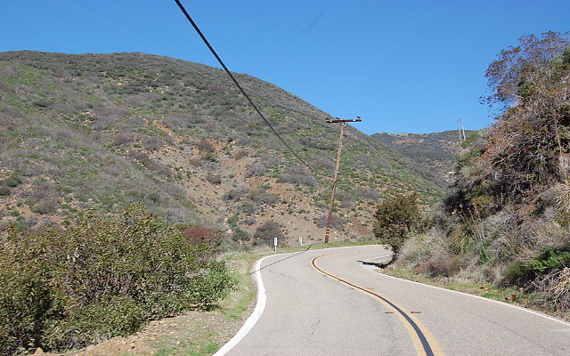 DSC 0059