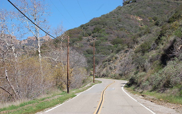 DSC 0077