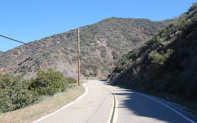 DSC 0060