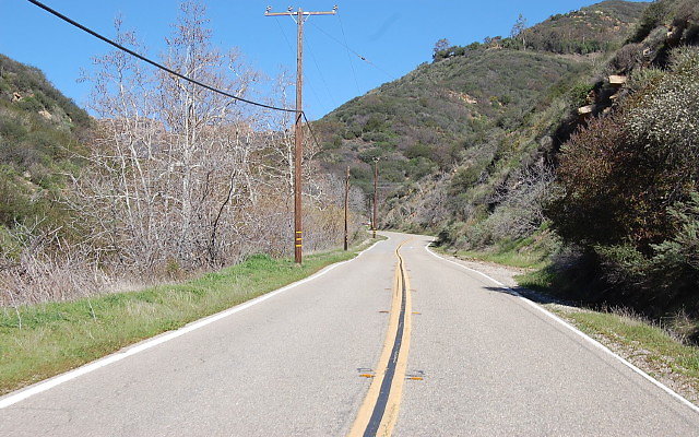 DSC 0076