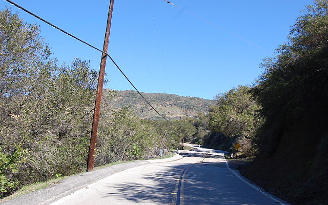 DSC 0091