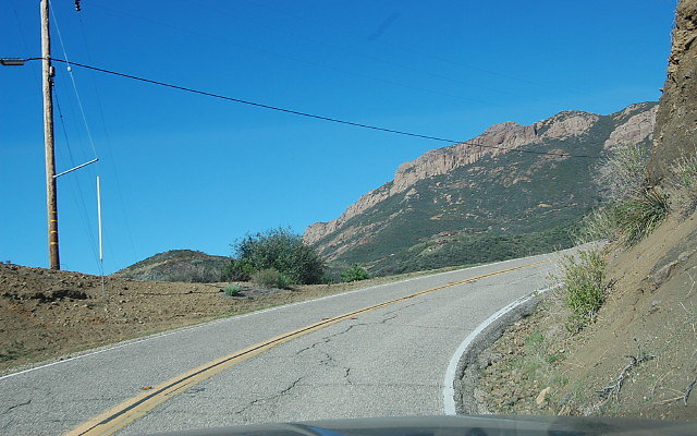 DSC 0098