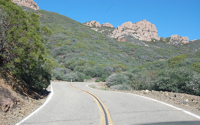 DSC 0111