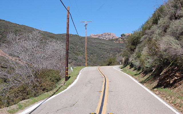 DSC 0082