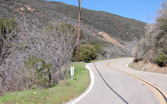 DSC 0080
