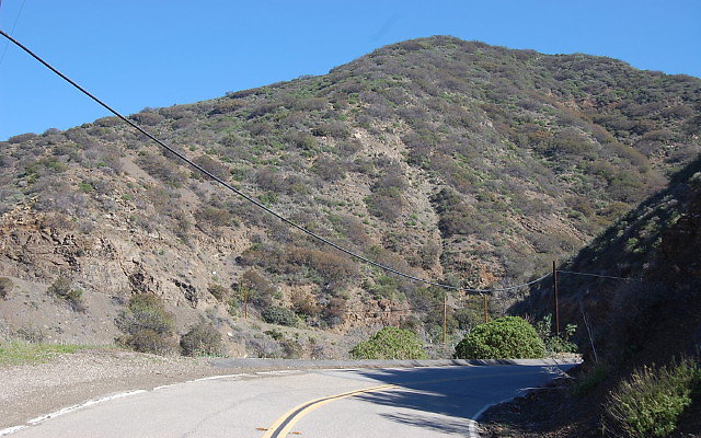 DSC 0061