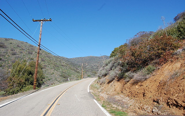 DSC 0051