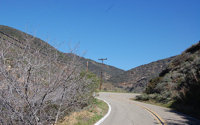 DSC 0058
