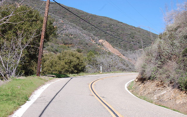 DSC 0081