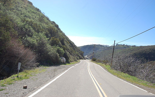 DSC 0305
