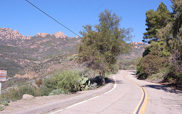 DSC 0107