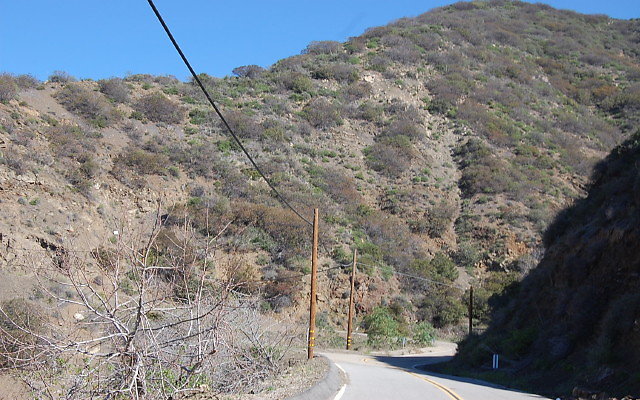 DSC 0062