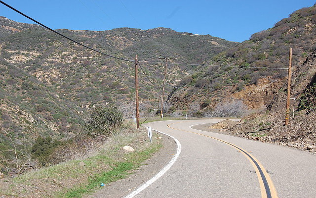 DSC 0065