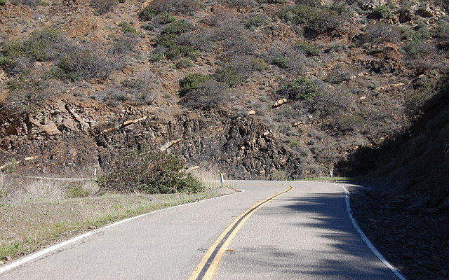 DSC 0067