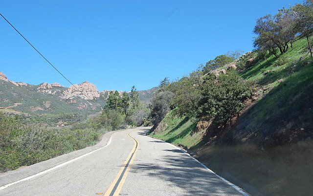 DSC 0104