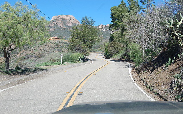 DSC 0106
