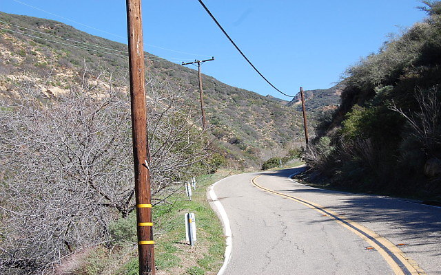 DSC 0070