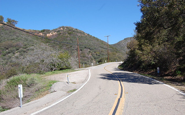DSC 0090